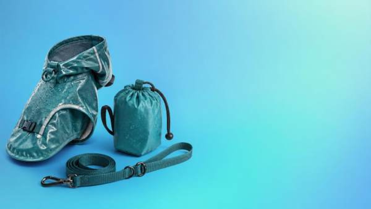 How a Pet Raincoat Manufacturer Handles Sizing and Waterproofing