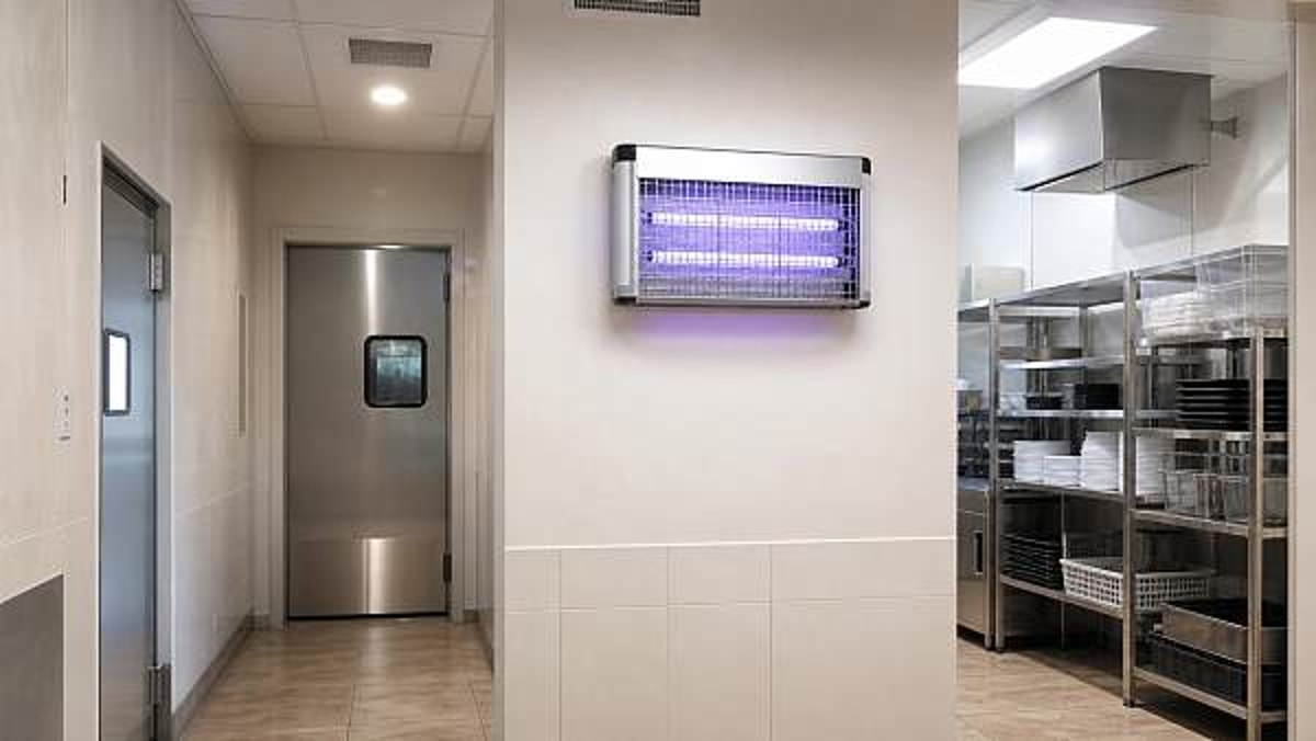 Commercial insect killers: indoor placement changes results fast