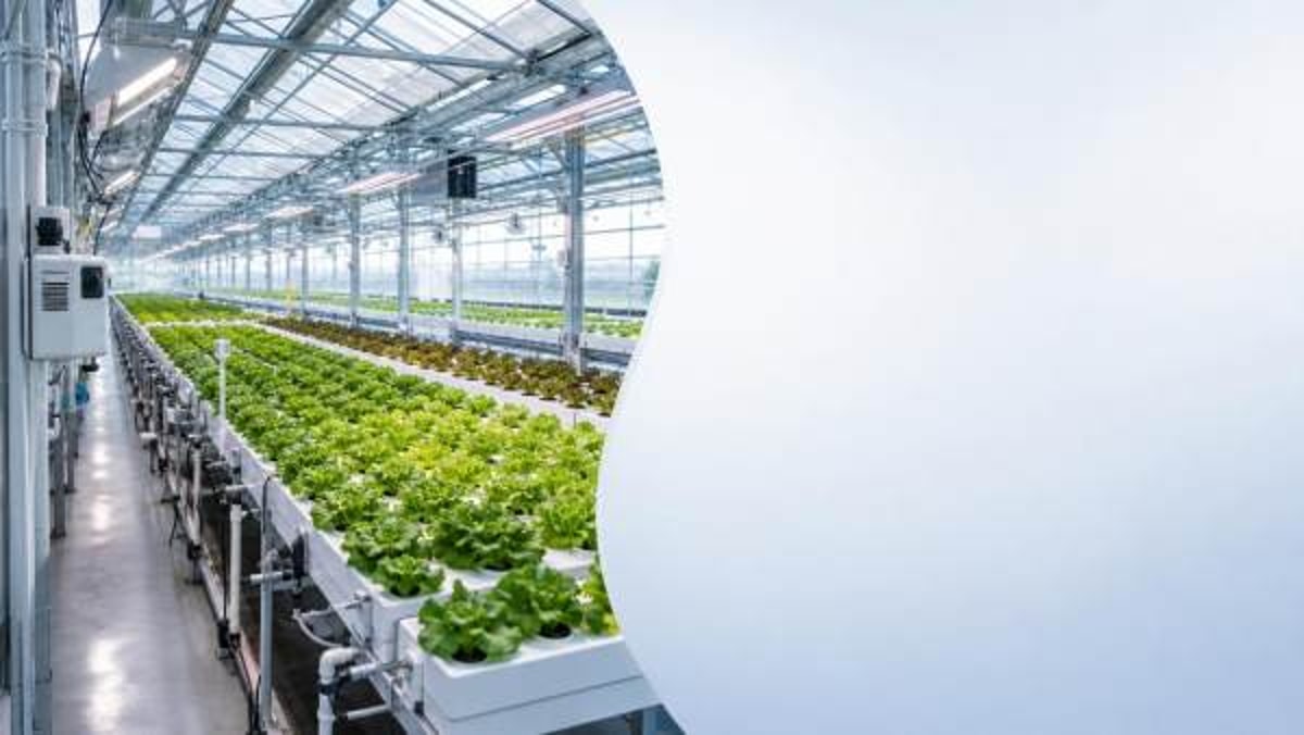 Commercial greenhouse equipment that adds cost without raising yield
