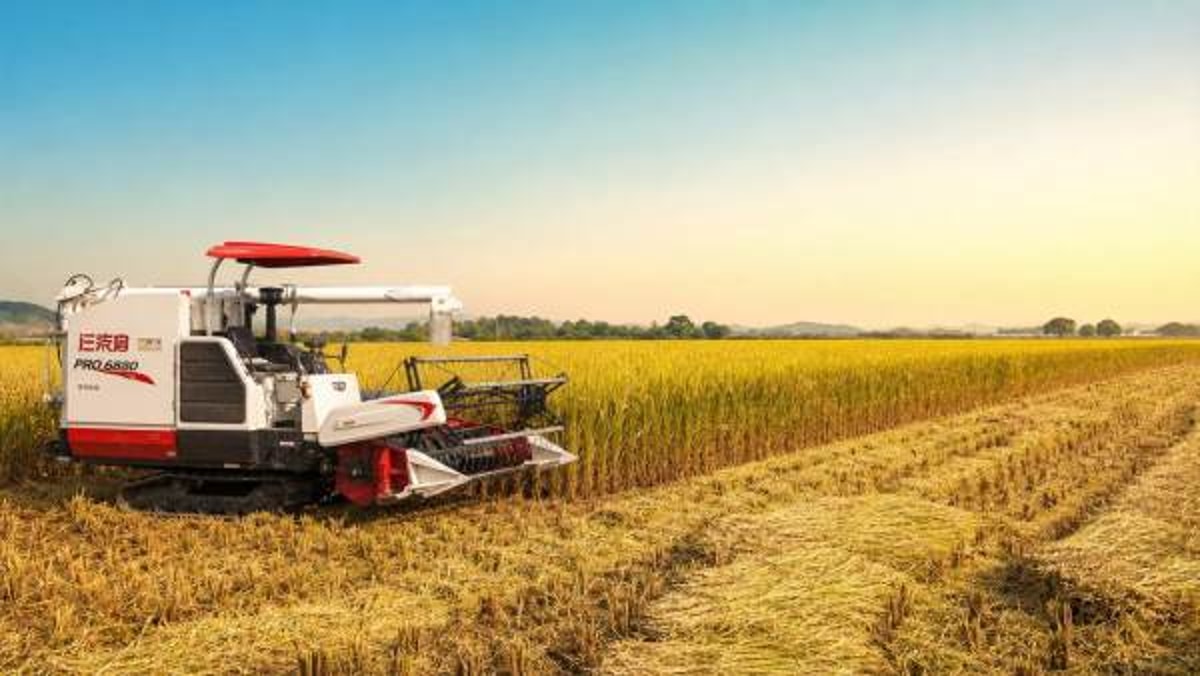 Mini rice harvester machine or manual harvest: where the payoff starts