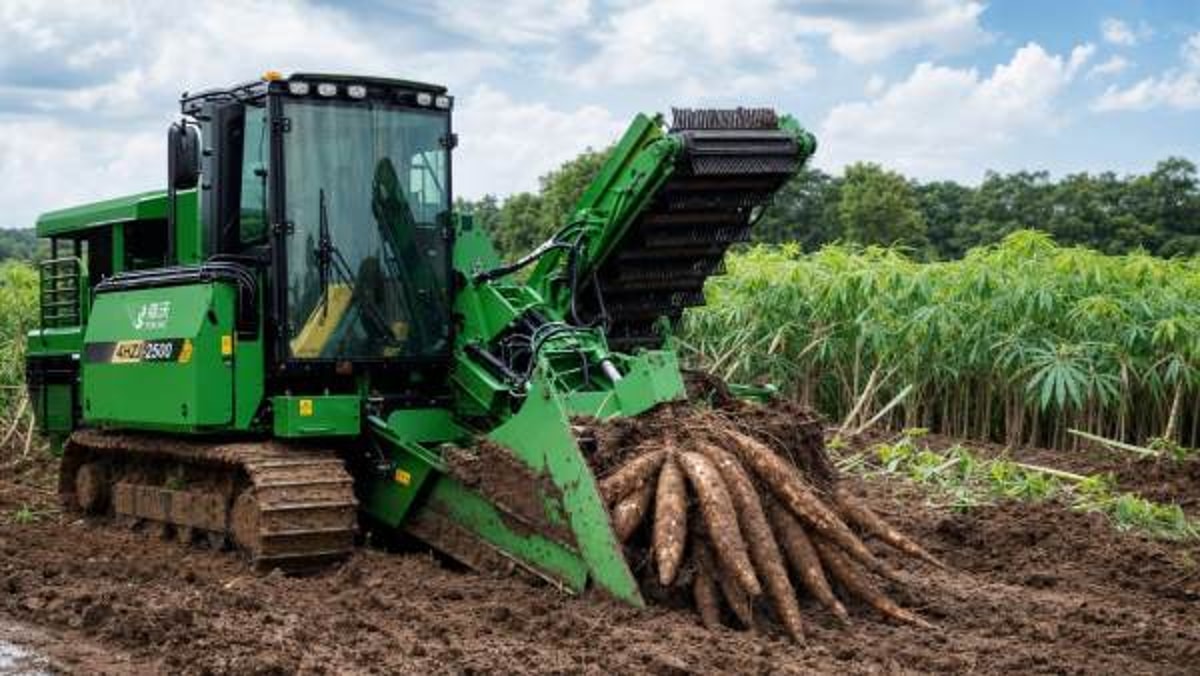 Cassava harvesting machines that reduce root damage in wet fields