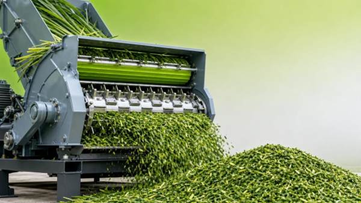 Grass forage chopper settings that improve cut consistency