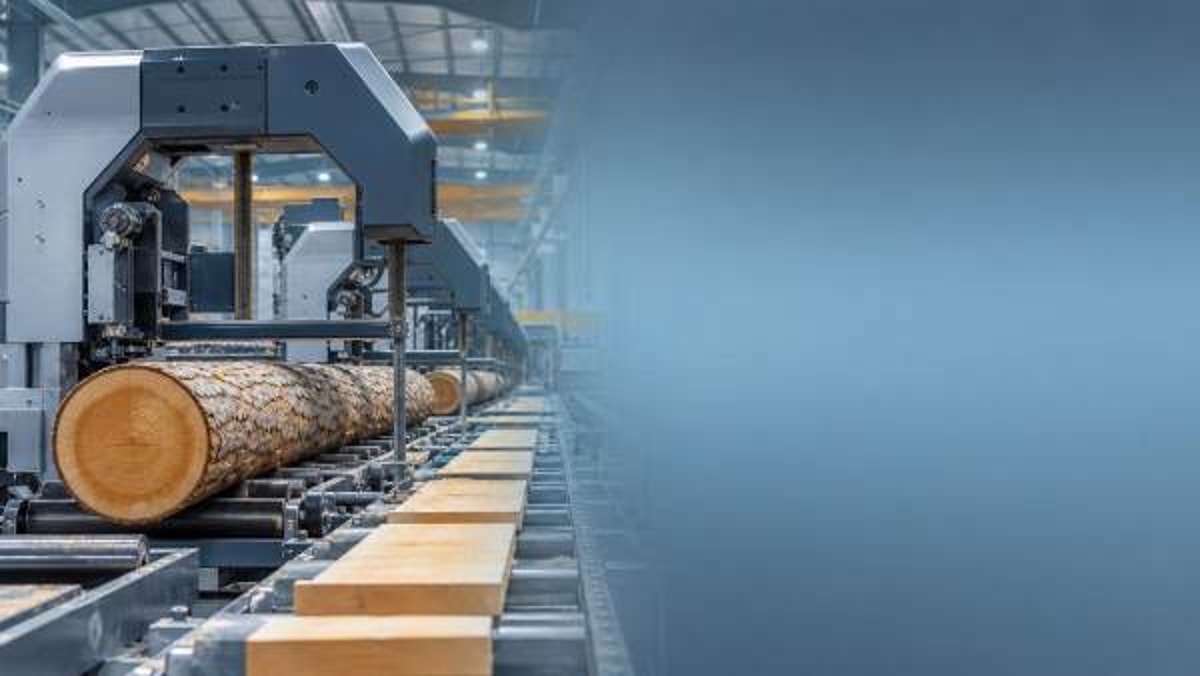 Band sawmills bulk buying mistakes that hurt output later