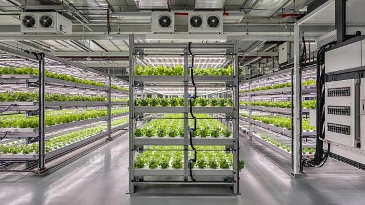 Vertical Farming Technology Costs That Often Get Missed