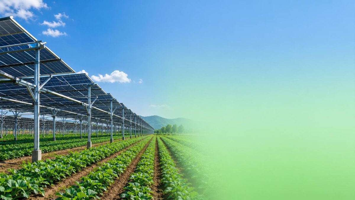When Do Agri-PV Systems Become a Cost-Effective Option?