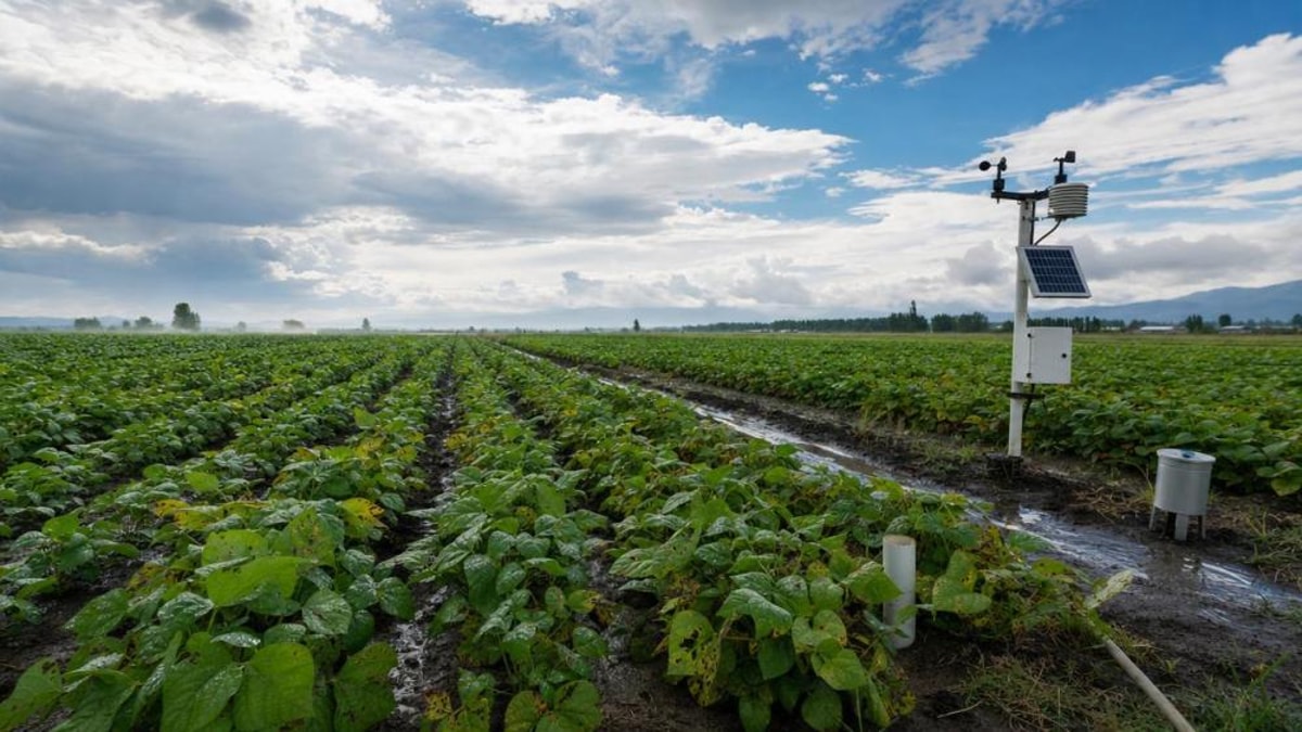 Crop Protection Methods That Fail Under Changing Weather
