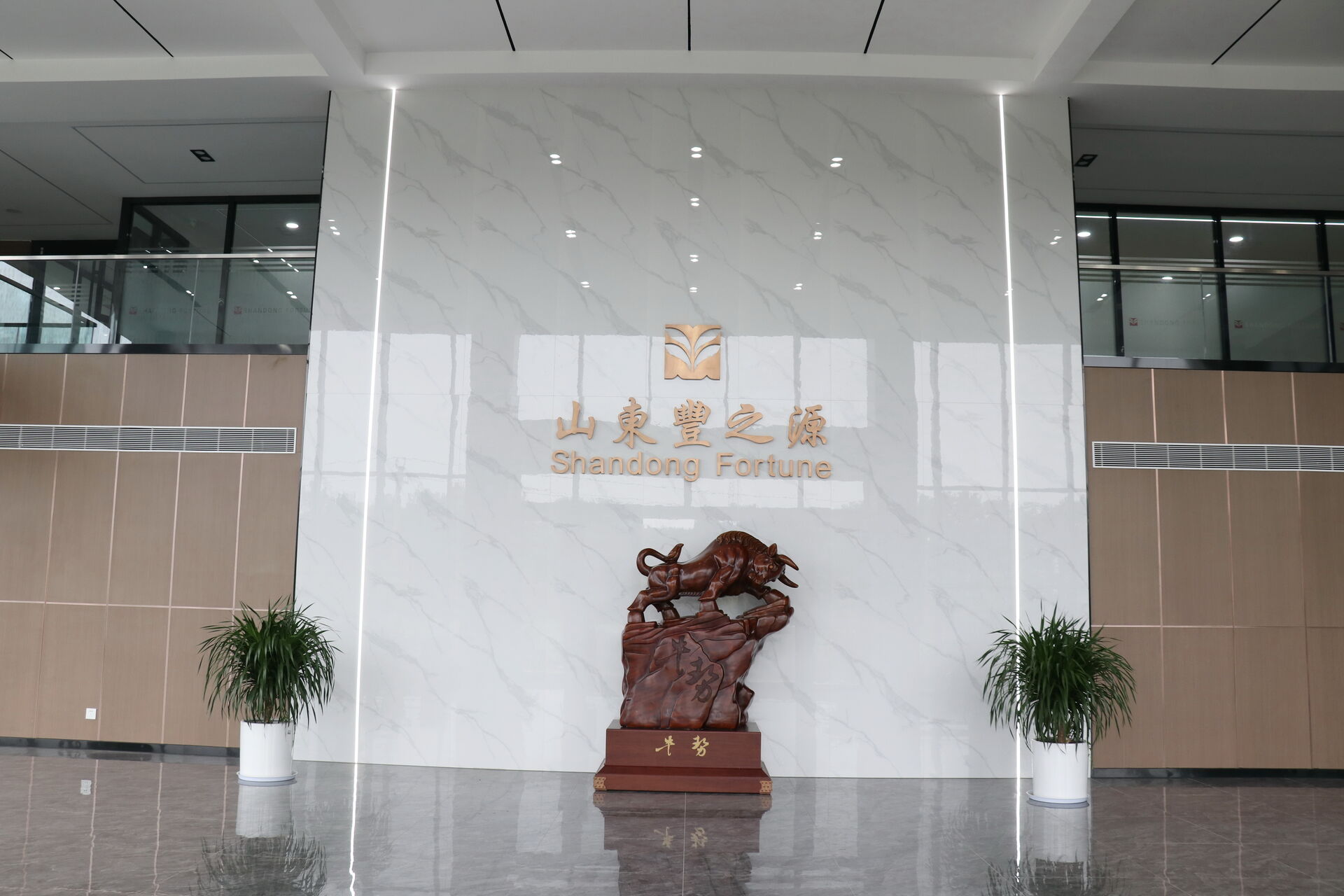 Our future goal is:  leading fashion trend, trying best to meet the demands of our customer, improving development ability and human-based management. So  Zibo Fortune is devoted to be a corporation of industrial investment and advanced international busi