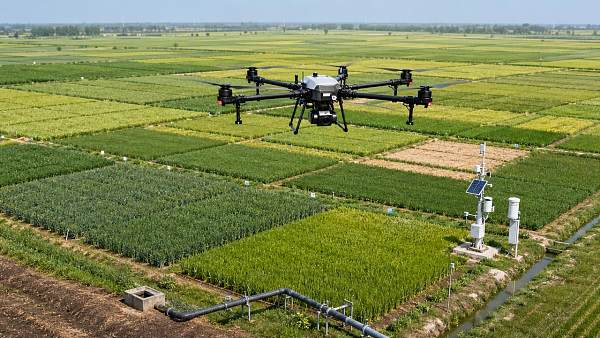 Precision Farming Drones: Better Data or Just More Noise?